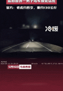 可可西里“网红狼”被撞身亡我们离“杀”实的
